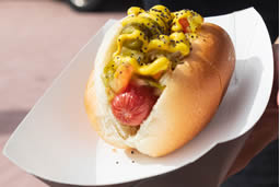 Taste of Chicago Marquette Park (hot dog pictured)
